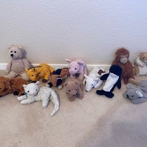Beanie Baby Set